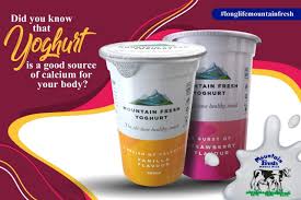 Mountain Fresh 250ml